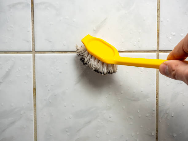 Mold Removal Process in Bloomington, MN