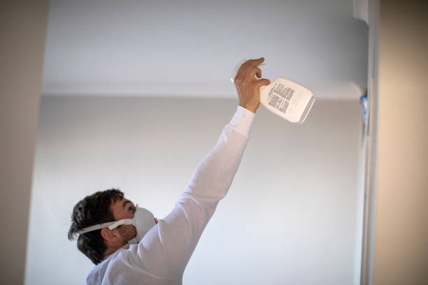 Mold Testing and Removal in Bloomington, MN
